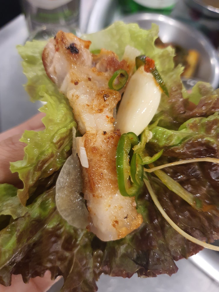  지니의 주말이야기