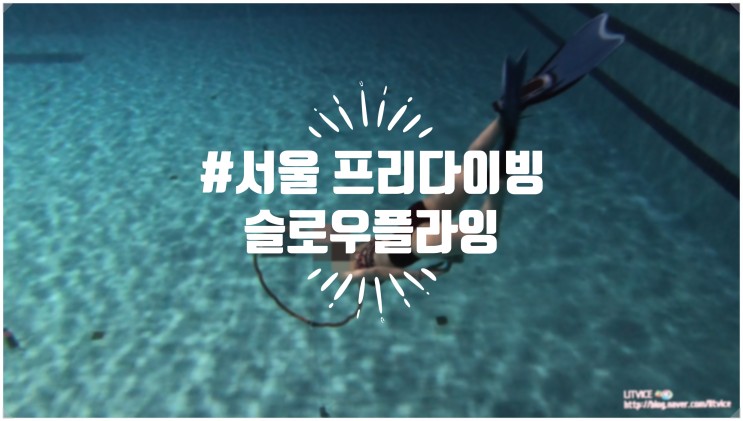 프리다이빙체험 서울 프리다이빙 슬로우플라잉에서 물 속의 고요를 느끼다