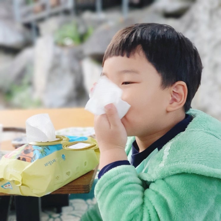 아기물티슈 추천 역대 최대평량 80 페넬로페 본보야지 콜로세움
