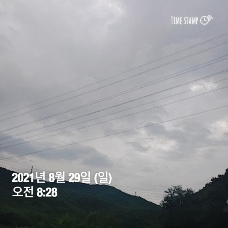  미라클 모닝 42일차!