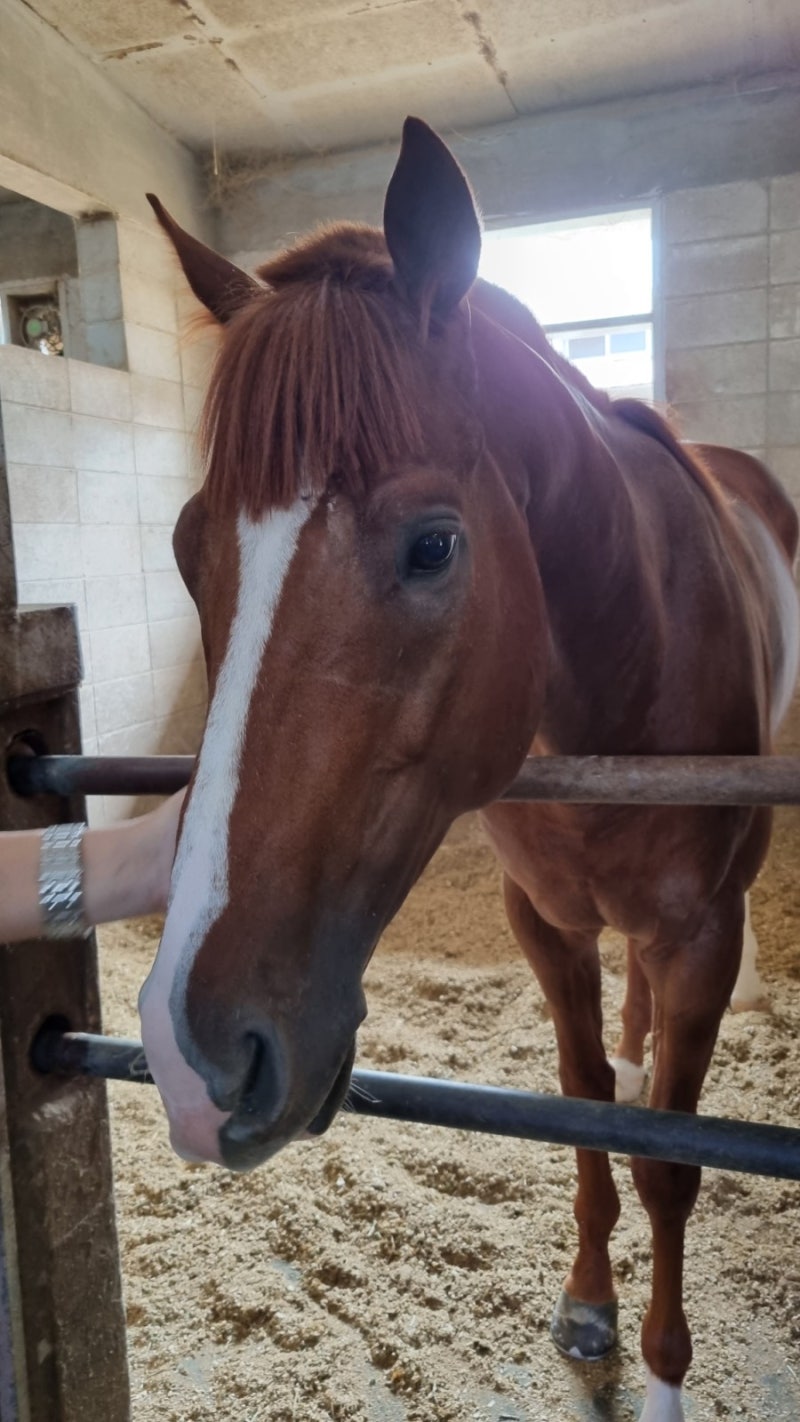 강남 역삼동] 랭맥 \u0026 8월 28일 일상 : 네이버 블로그, image size:800x1422