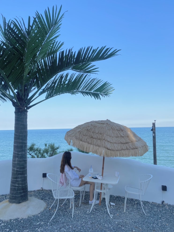  포항카페/카페1703