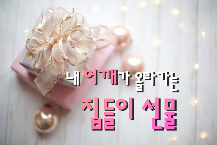  집들이 선물이 고민될 때 여기서 한 번에 해결하기