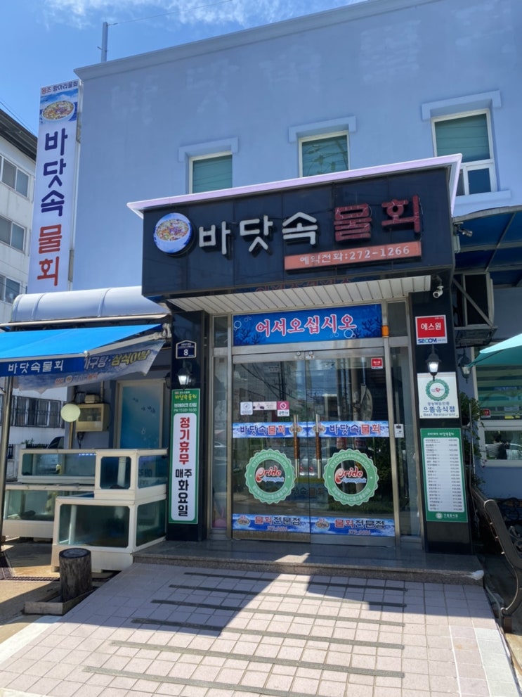  포항 맛집/바닷속물회