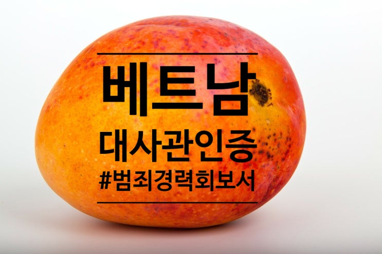  범죄경력회보서 베트남 대사관인증 | 취업 | 워크퍼밋 |  필수서류 | 퀵아포스티유 신속 대행