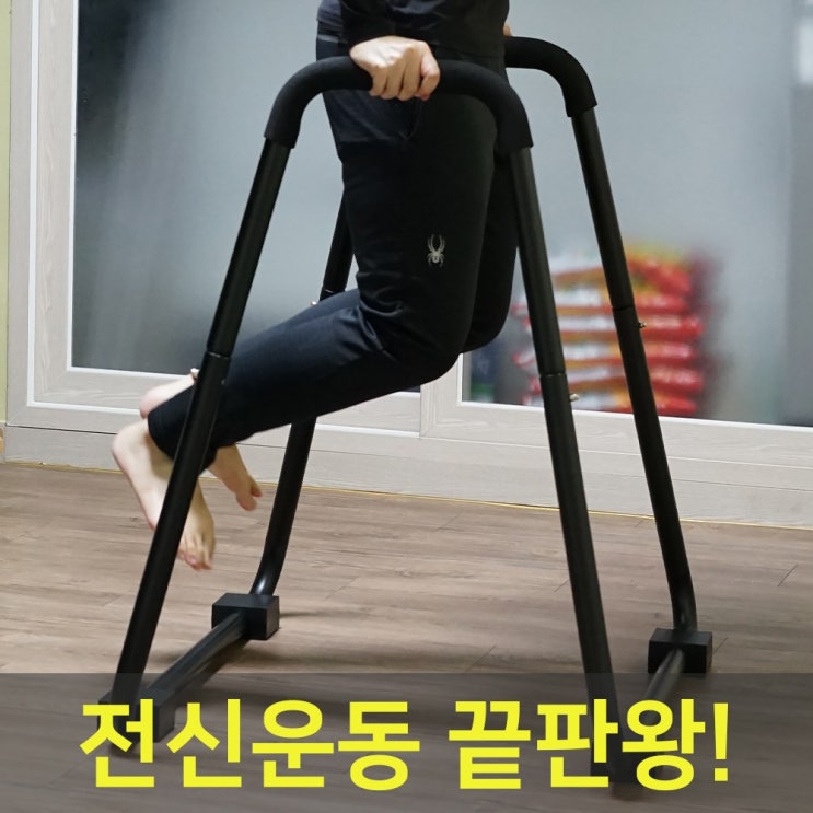 인기 급상승인 헬스몬 딥스바 인버티드로우 평행봉 딥프레스 가정용 이퀄라이저바 추천해요 인기 급상승인 헬스몬 딥스바 인버티드로우 평행봉 딥프레스 가정용 이퀄라이저바 추천해요