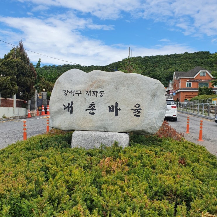  [부린이의 임장] 서울 강서구 김포공항 개화동에 숨겨진 단독주택 마을!!! 서울에서 전원 주택 생활을 하고 싶을때 (feat. 내촌마을, 신대마을, 새마을, 벽화마을)