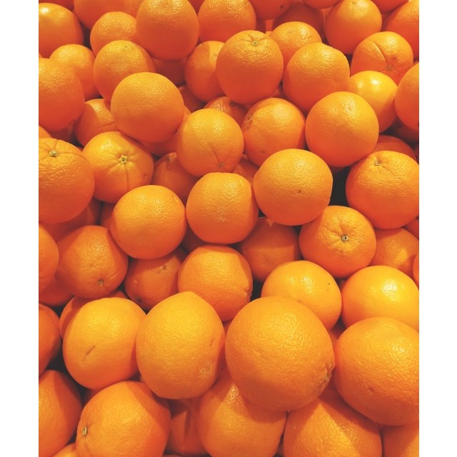 당신만 모르는 방씨아들 퓨어스펙 블랙라벨 오렌지 고당도 오렌지, 8.5kg 36과 좋아요