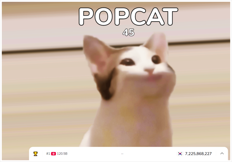 팝캣 Popcat 게임