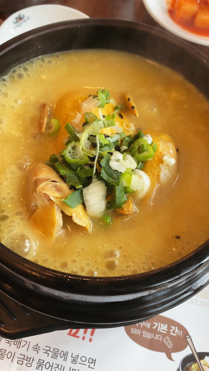  [의정부 맛집] 삼계탕 맛집 추천 상황버섯 입은 황금빛국물이 정말 맛있는 백세삼계탕 의정부점