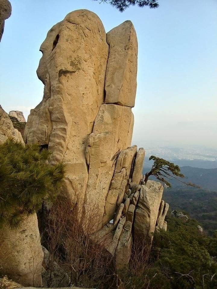 내 스승은 시간이었다