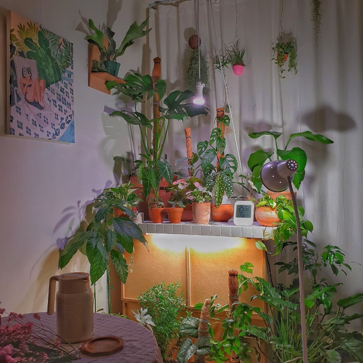  무섭게 왜 이러시는 걸까요...