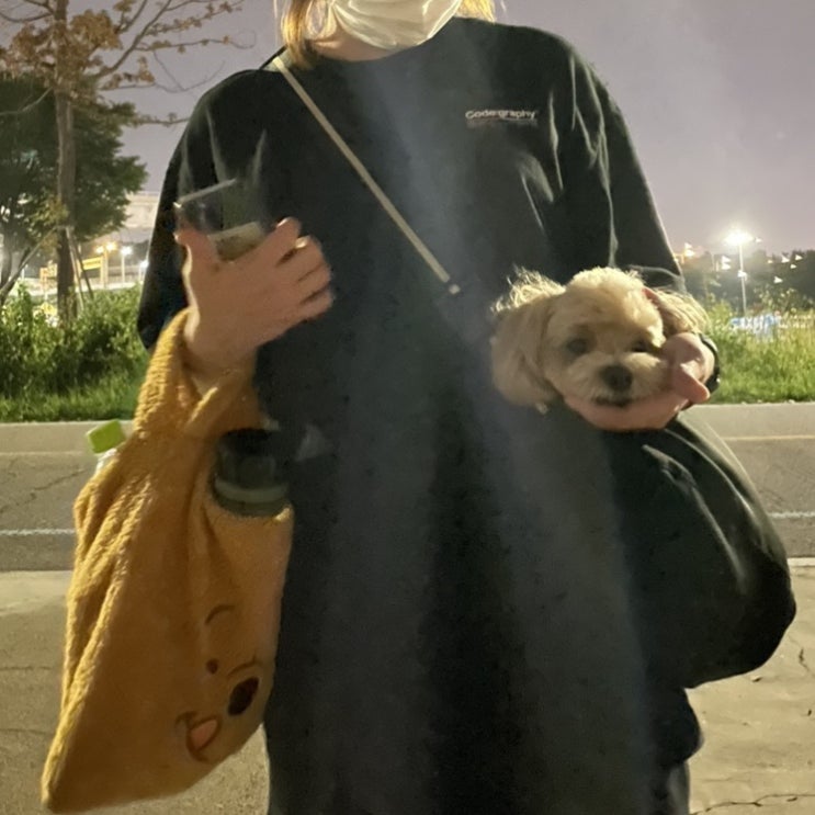  너무 빨리 지나간 8월