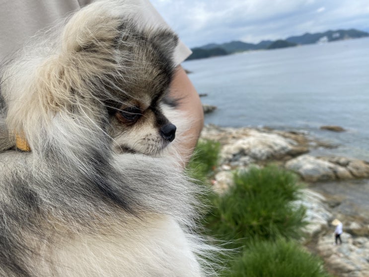  꾸꾸와 남도여행 2일차