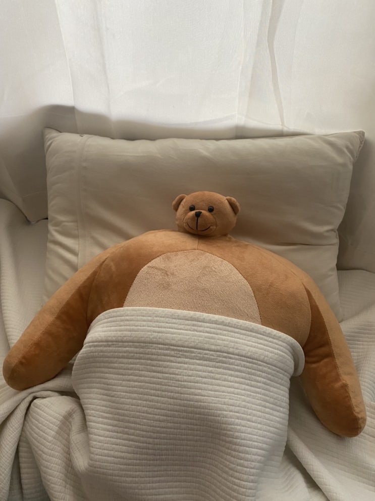  어쩌다 보니 애착인형
