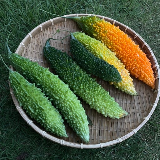  여주 효능 및 부작용