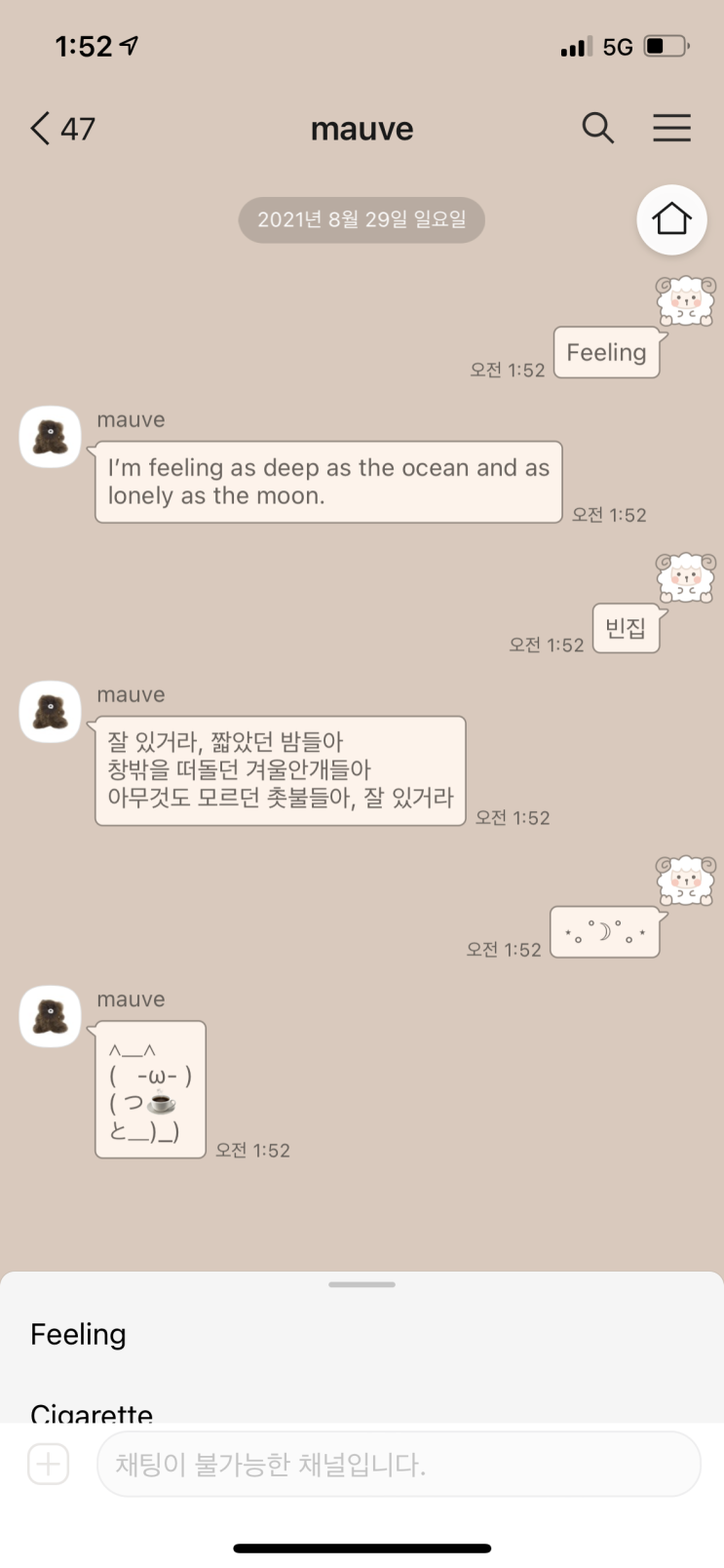  IOS 카톡테마 : 양톡