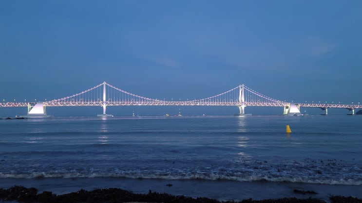  [2021. 8] 부산여행 둘째날 [국내여행/뚜벅이여행/여자혼자여행/3박4일/해운대해수욕장/동백잡화점/버거샵/호랑이젤라떡/해운대블루라인파크/부센동/광안리해수욕장/해운대인생꼬치]