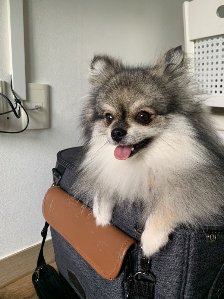  꾸꾸의 남도여행 3일차