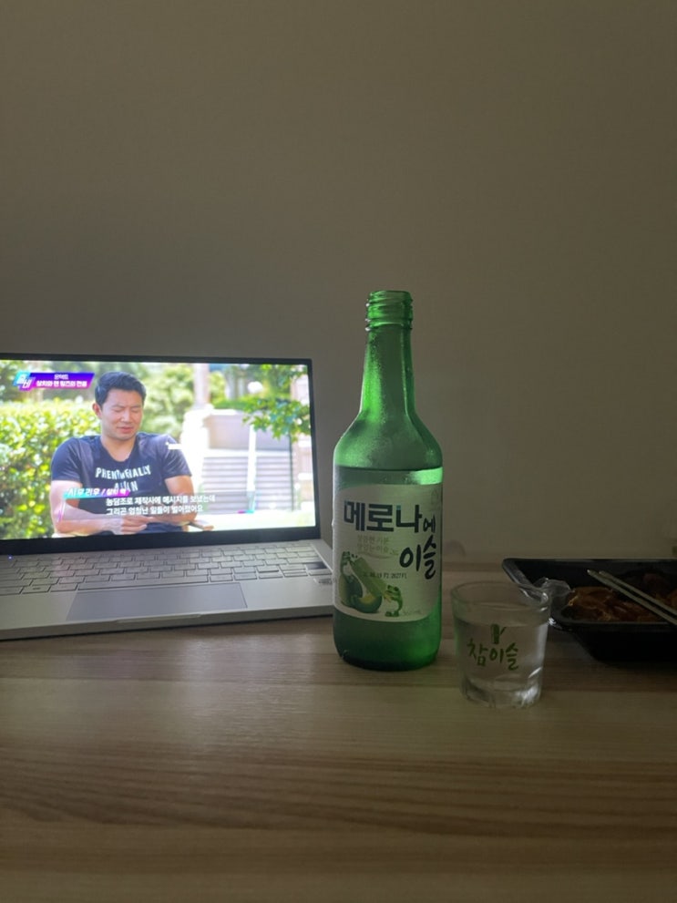  진로 메로나에이슬,좋은데이 민트초코_트렌디한 소주후기