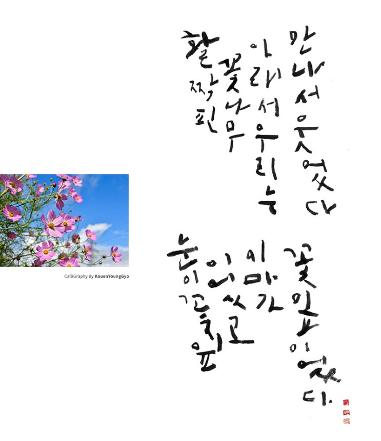  나태주  꽃잎  써보기  권영교글씨