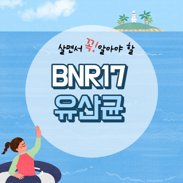 BNR17 유산균 분말 효능 가격 및 추천 제품 총정리