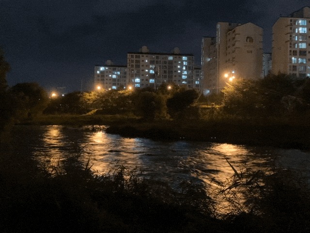  밤 산책
