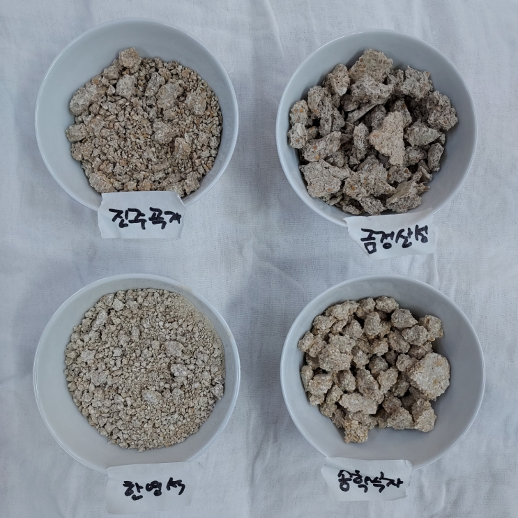  누룩의 특성을 파악하기 위한 실험주 밑술빚기