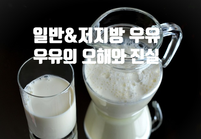 우유에 대한 오해와 진실 (ft. 일반 저지방 우유 칼로리) 원재료 영양 성분 함량 충치 예방