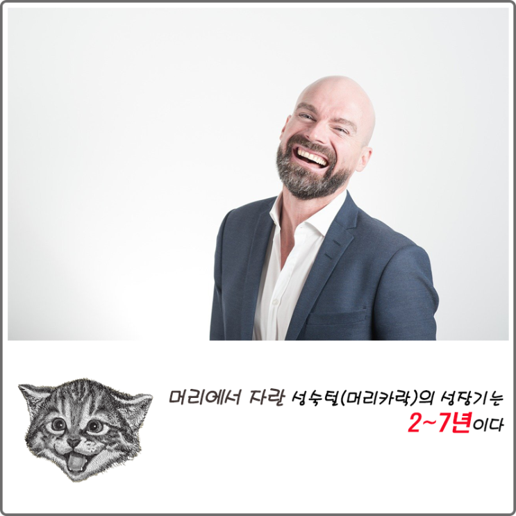  머리에서 자란 성숙털(머리카락)의 성장기는 2~7년이다
