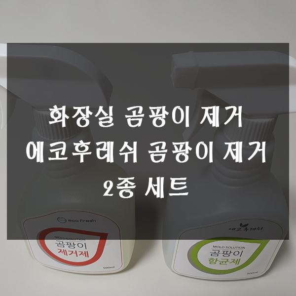  화장실 곰팡이 제거 - 에코후레쉬 2종 세트로 간편하게