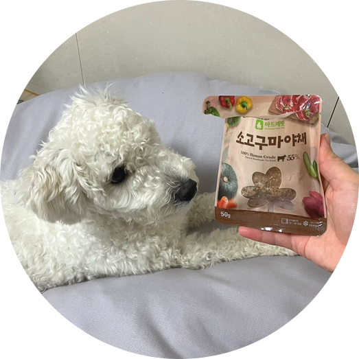  강아지 화식 : 마드레펫 자연식 습식사료 5종