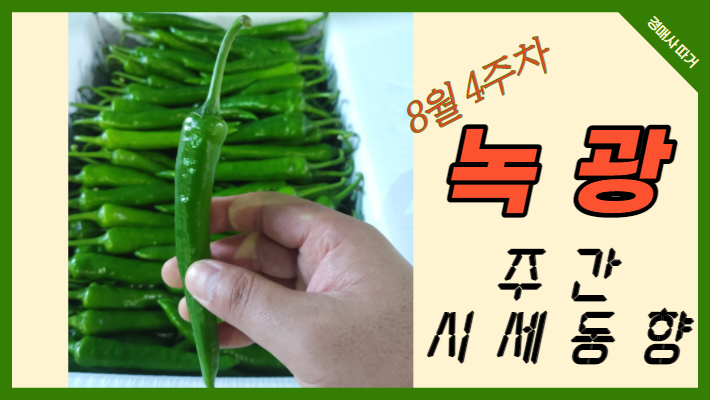  [경매사 주간보고] 물량도 적은데, 시세가 왜 이렇게 안나오는 "녹광" (8월 4주차)