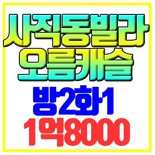  사직동 빌라매매 급매 방2화1 오름캐슬 창신초인근 공실