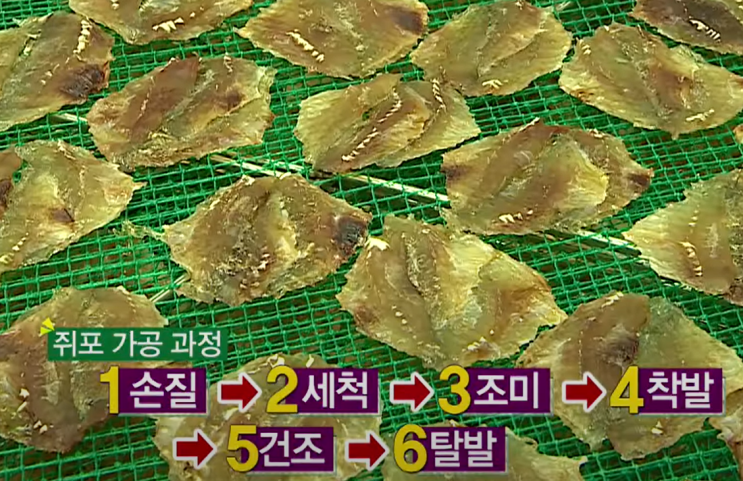  [정보] 쥐포, 이거로 만든다고??