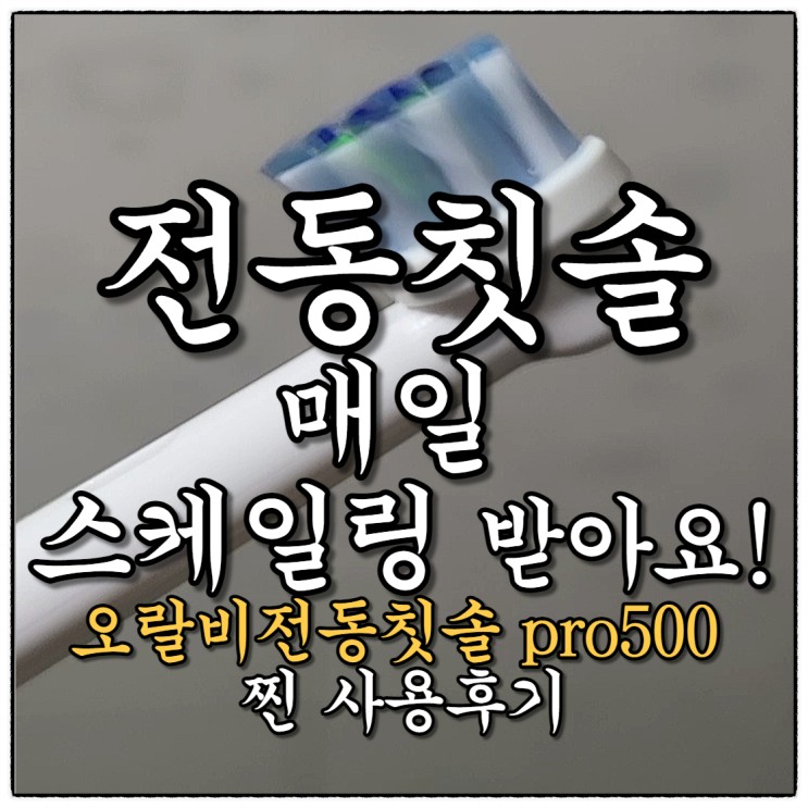 전동칫솔 매일 스케일링받는 기분(Feat.오랄비전동칫솔pro500 찐 사용후기)