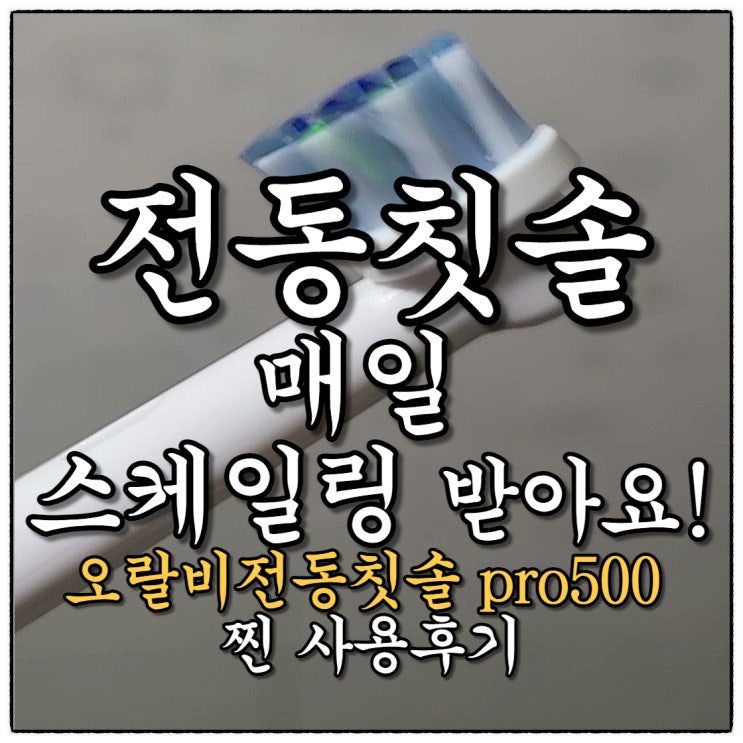 전동칫솔 매일 스케일링받는 기분(Feat.오랄비전동칫솔pro500 찐 사용후기) 전동칫솔 매일 스케일링받는 기분(Feat.오랄비전동칫솔pro500 찐 사용후기)
