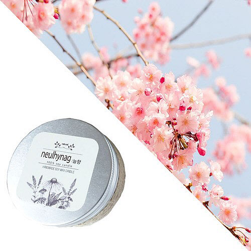 인기있는 늘향 늘향 청순한 체리블라썸향 틴케이스캔들 90ml (2737292) 좋아요 인기있는 늘향 늘향 청순한 체리블라썸향 틴케이스캔들 90ml (2737292) 좋아요