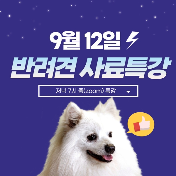  2021년 8월 펫영양사가 추천하는 강아지 사료 온라인 실시간 특강 안내_900 [서울/부산/대전/강릉/인천/창원/광주/대구/울산/제주]
