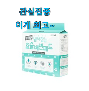 놀라운 강아지패드 꿀템 순위 안사곤 못배기겠어요 ㅋㅋ 놀라운 강아지패드 꿀템 순위 안사곤 못배기겠어요 ㅋㅋ
