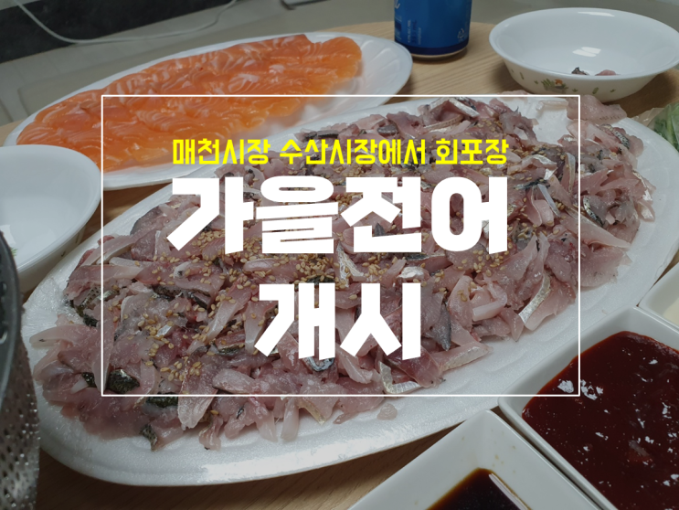 대구 매천시장 전어 개시 영업시간과 주차정보 with 연어