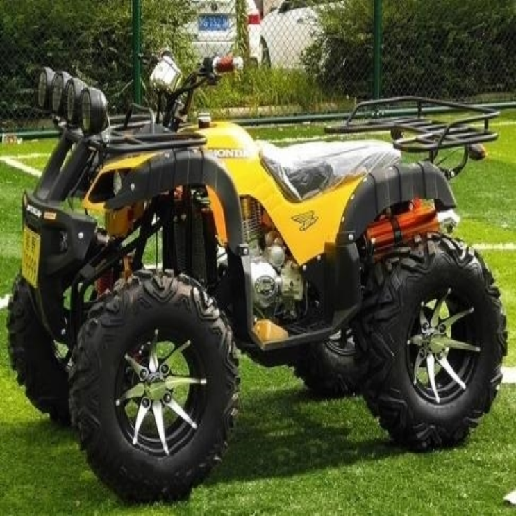 요즘 인기있는 AVT 4륜구동 오토바이 150CC 14인치 타이어, RED, 옵션3 추천합니다 요즘 인기있는 AVT 4륜구동 오토바이 150CC 14인치 타이어, RED, 옵션3 추천합니다