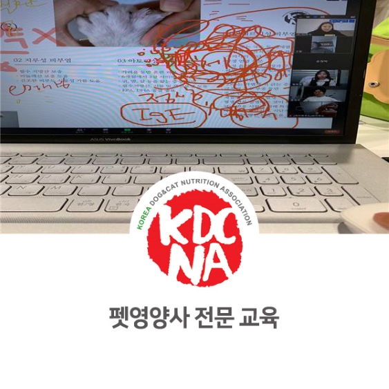  펫푸드 전문 자격증 온라인 교육 [한국반려동물영양협회/펫영양사/전주/군산/포항/울진/창원]_868
