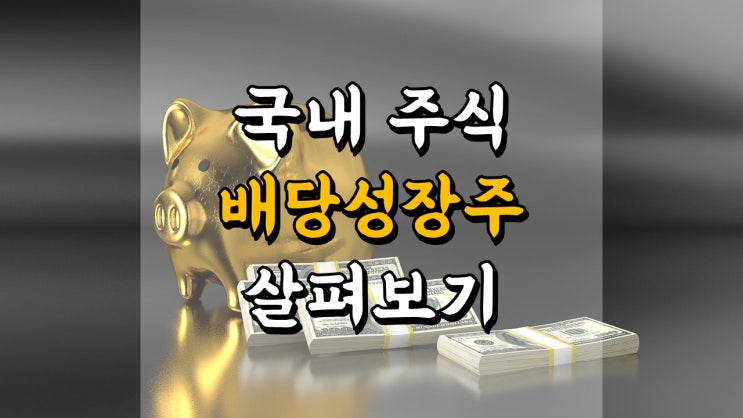  배당성장주 - 국내 주식 배당성장률 10 % 이상 종목 살펴보기