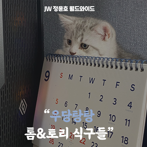  우당탕탕 조용할 날 없는 새끼 고양이 키우기