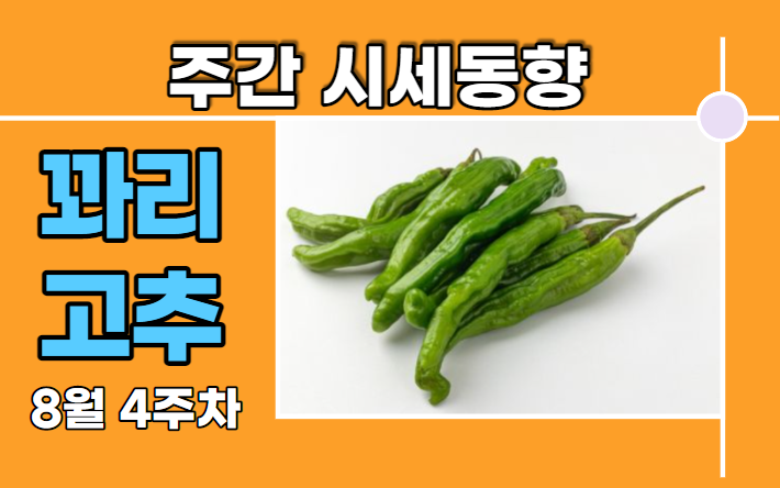  [경매사 주간보고] 다른 고추보다는 나은 "꽈리고추" (8월 4주차)