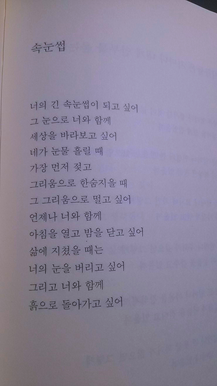시 '속눈썹' 시 '속눈썹'