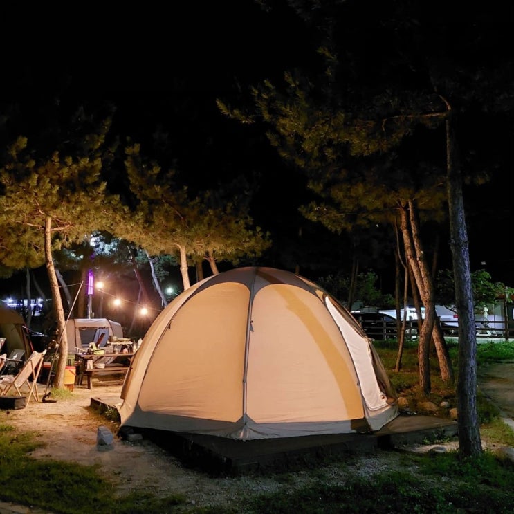  강원도 고성 백도 오토캠핑장 / 백도 해수욕장 1박 2일은 너무 아쉬워요..