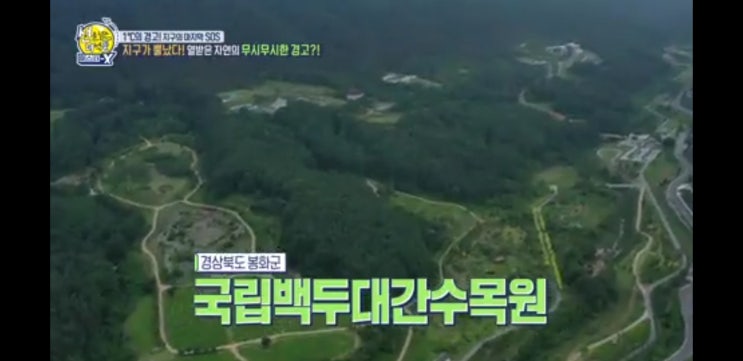  선을 넘는 녀석들... 1도씨의 경고..