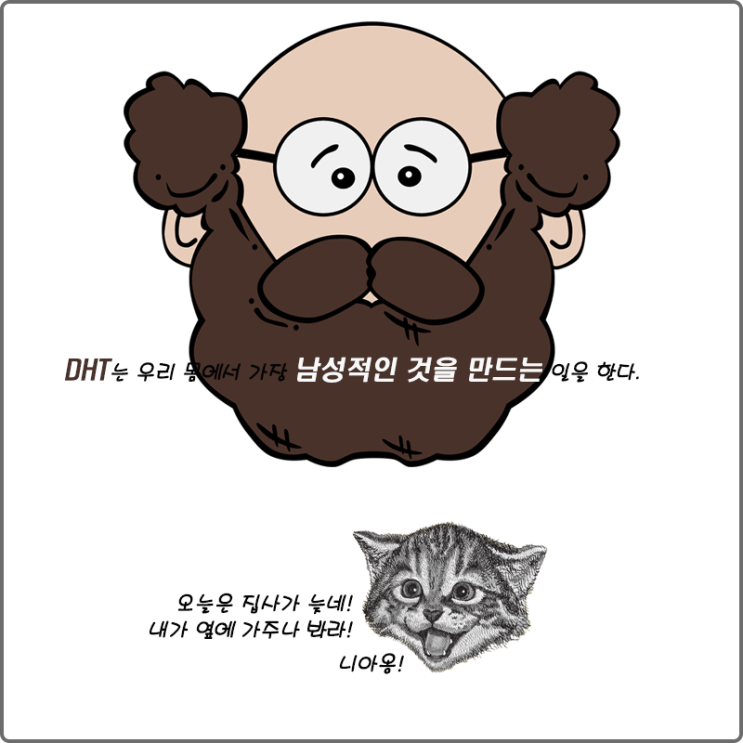  DHT는 우리 몸에서 가장 남성적인 것을 만드는 일을 한다.
